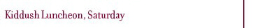 Kiddush Luncheon, Saturday morning